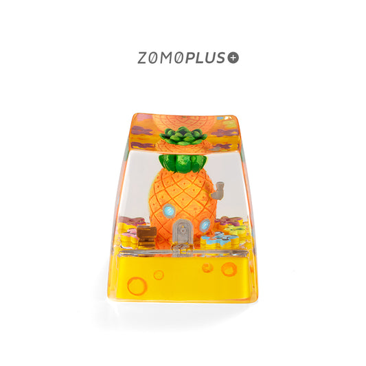 Customization Pineapple House